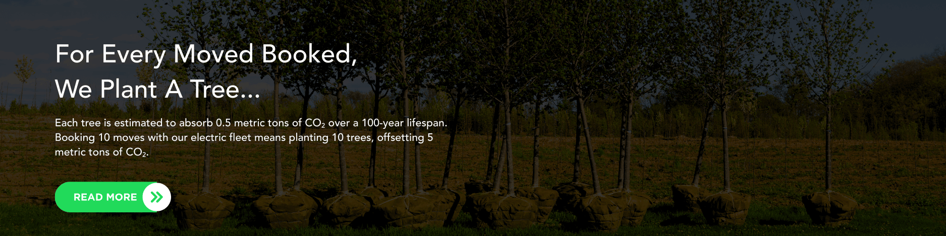 _PlantaTree-ASM_1875x469 (1)